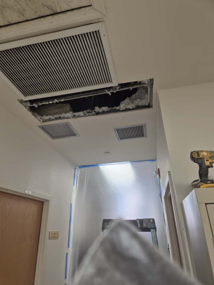 WhatsApp Image 2025-09-30 at 13.35.51 (2)